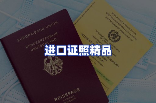 进口证件页面制证